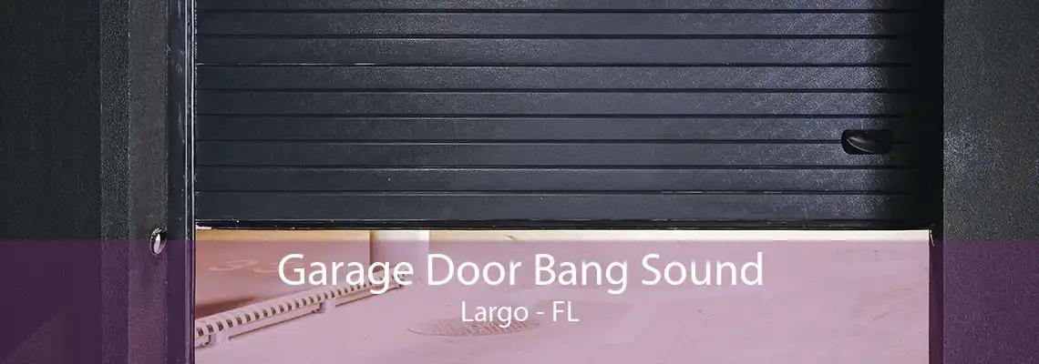 Garage Door Bang Sound Largo - FL