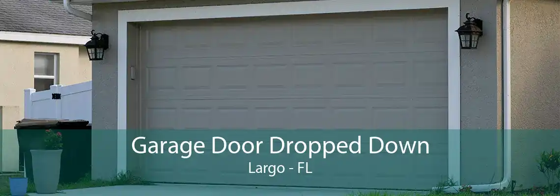 Garage Door Dropped Down Largo - FL