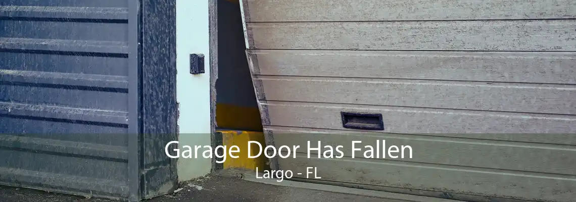 Garage Door Has Fallen Largo - FL