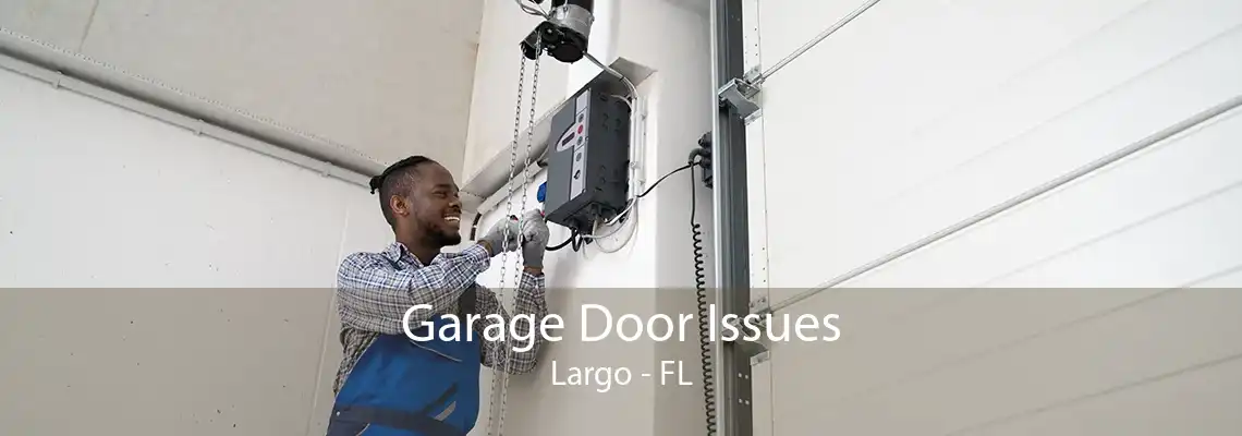 Garage Door Issues Largo - FL