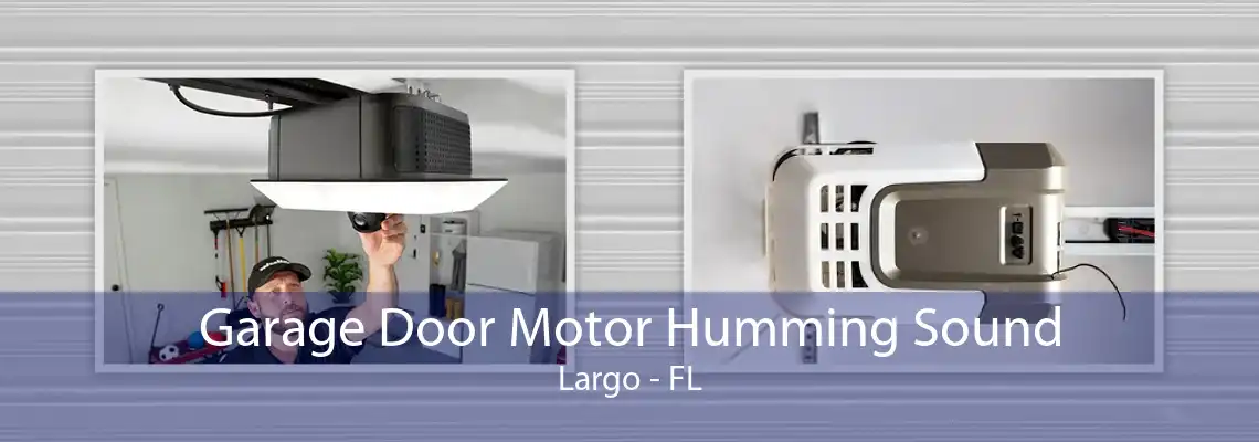 Garage Door Motor Humming Sound Largo - FL