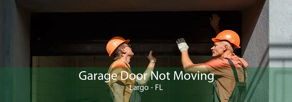 Garage Door Not Moving Largo - FL