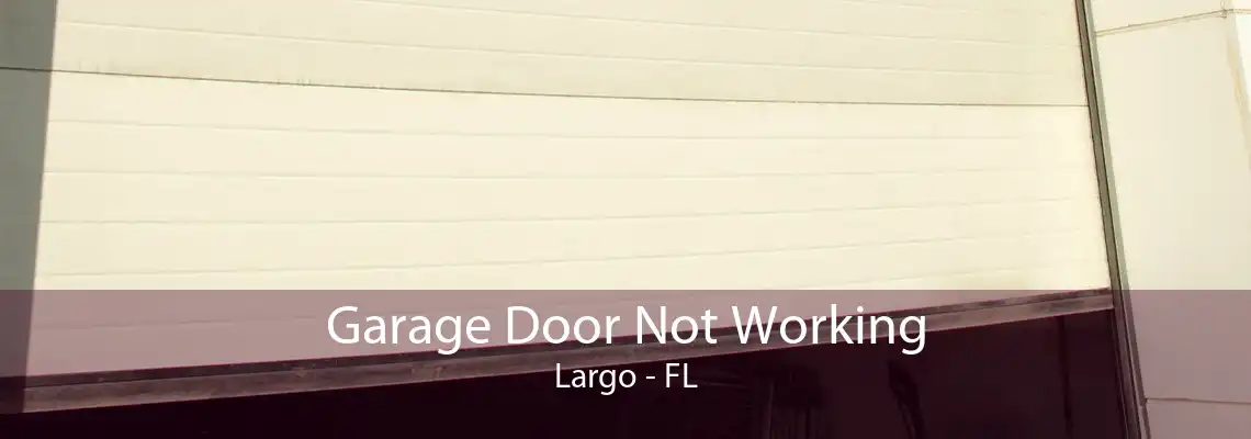 Garage Door Not Working Largo - FL