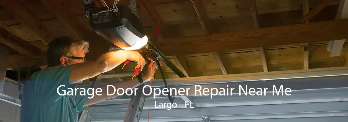 Garage Door Opener Repair Near Me Largo - FL