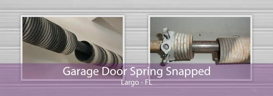 Garage Door Spring Snapped Largo - FL