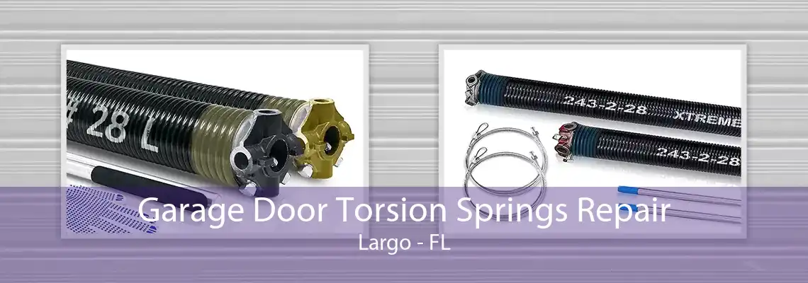 Garage Door Torsion Springs Repair Largo - FL