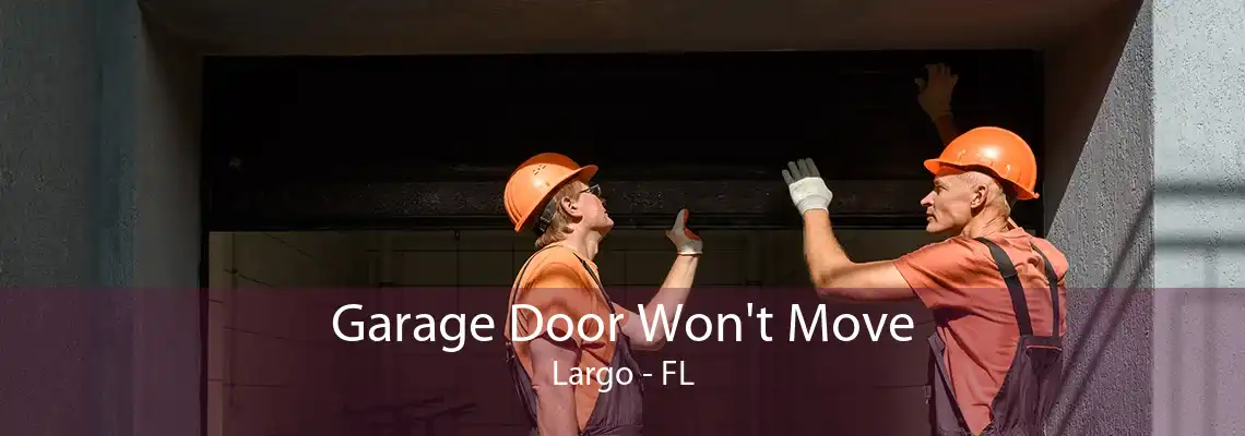 Garage Door Won't Move Largo - FL