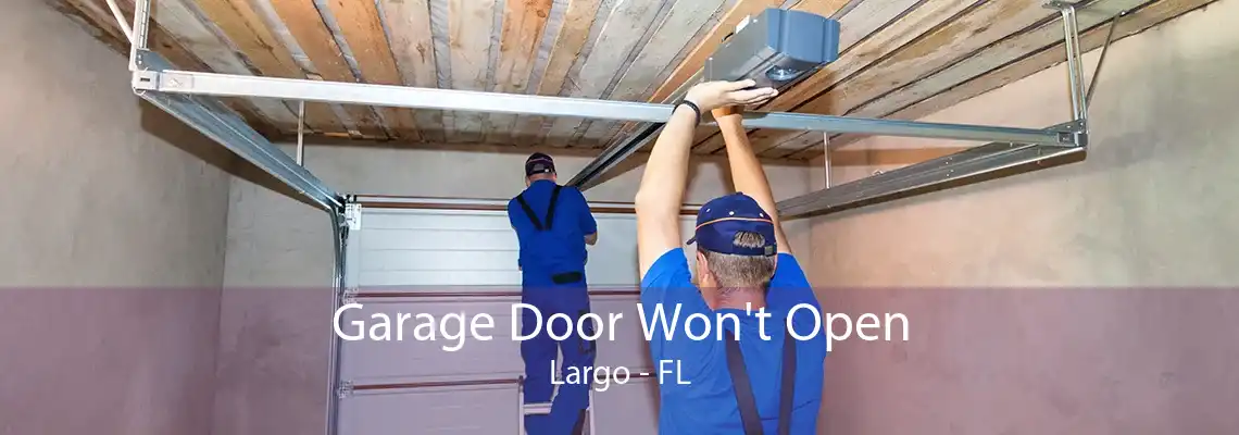 Garage Door Won't Open Largo - FL