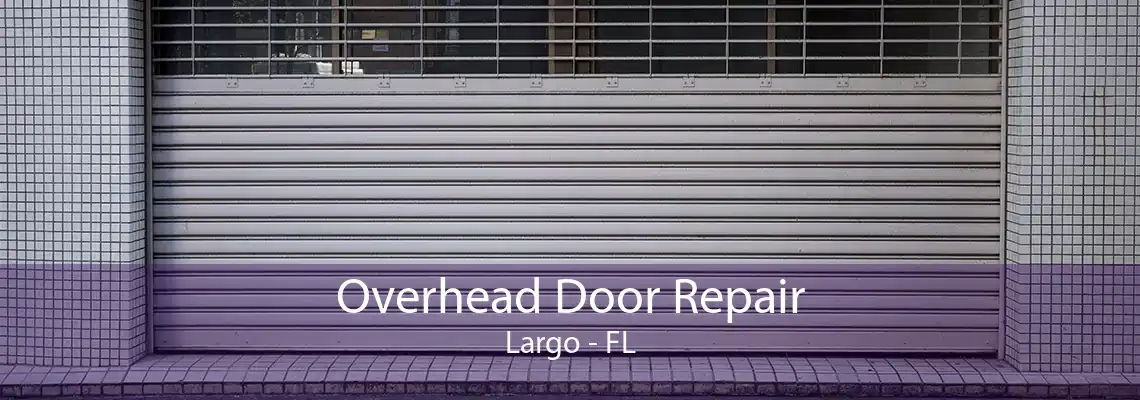 Overhead Door Repair Largo - FL