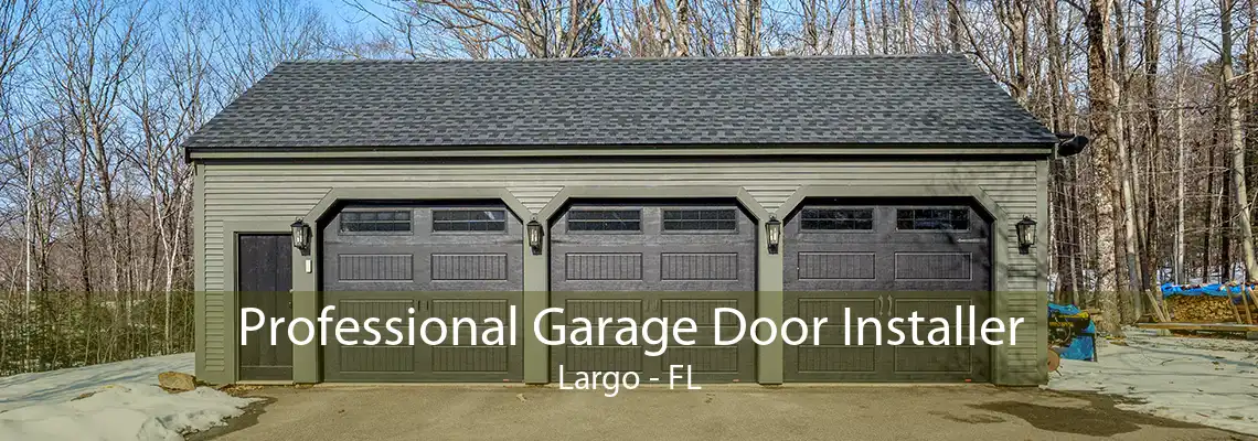 Professional Garage Door Installer Largo - FL